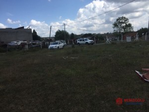 abf330fa_9d85_41f8_9b29_82faf6cde3c2 (2).jpg